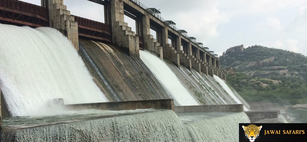 blog_jawai_dam.jpg