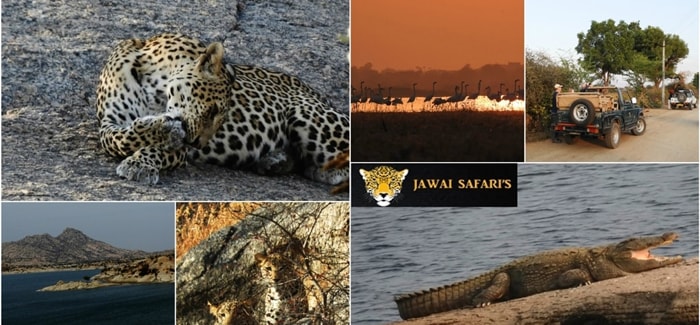 blog_banner1.jpg